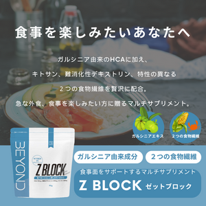 
                  
                    BEYOND Z BLOCK　ゼットブロック
                  
                